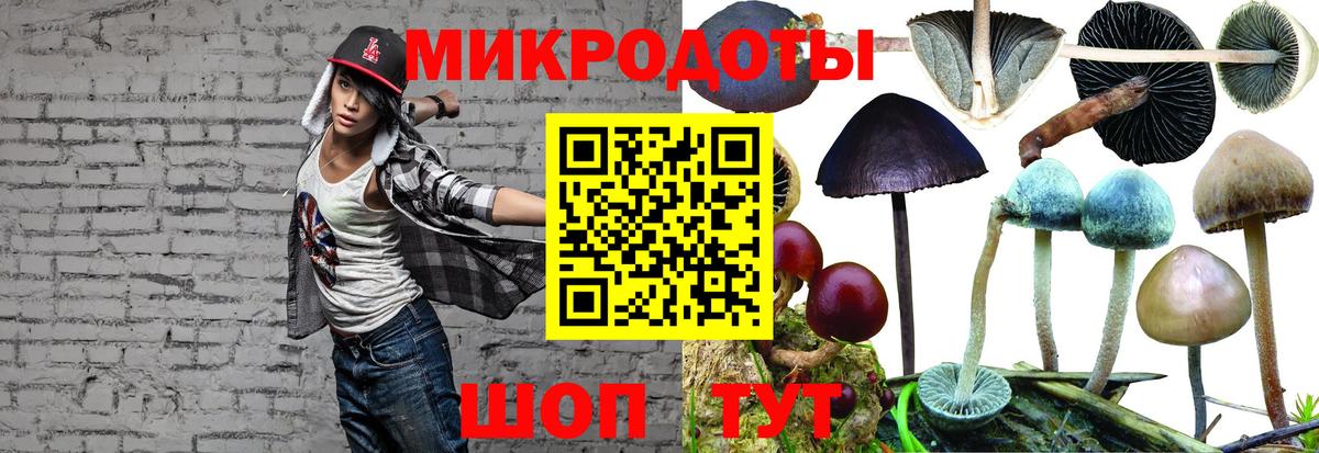 Псилоцибиновые грибы GOLDEN TEACHER Нижневартовск