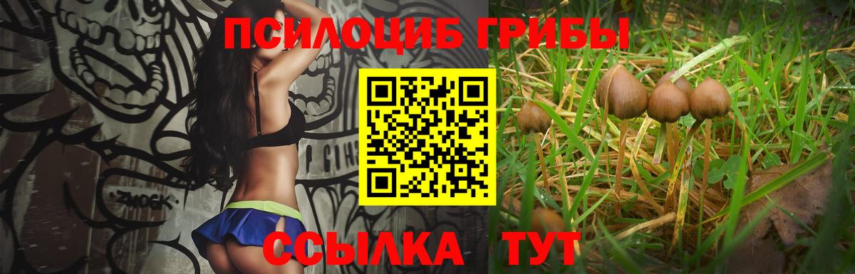 Псилоцибиновые грибы мухоморы  Вход с VPN  Нижневартовск 
