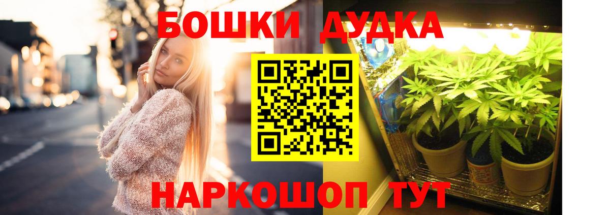 Бошки Шишки план  Бошки Шишки семена  Марихуана Bruce Banner  Нижневартовск  Бошки Шишки конопля  Вход с VPN 
